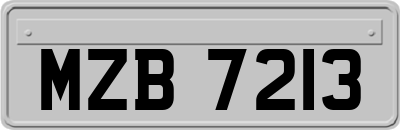 MZB7213