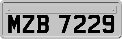 MZB7229