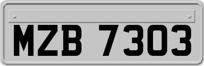 MZB7303