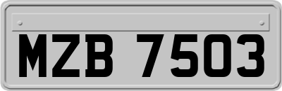 MZB7503