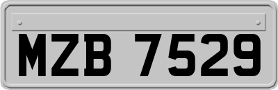 MZB7529