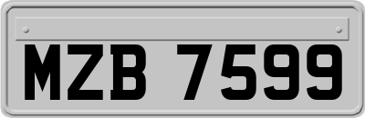 MZB7599
