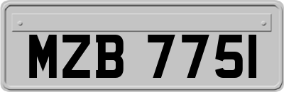 MZB7751