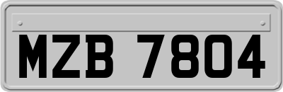 MZB7804