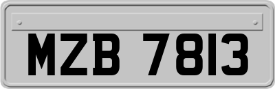 MZB7813