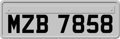 MZB7858