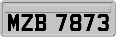 MZB7873