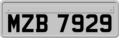 MZB7929