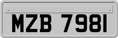 MZB7981