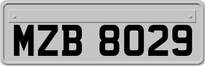 MZB8029