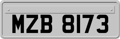 MZB8173