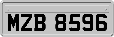 MZB8596