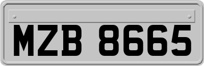 MZB8665