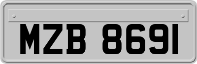 MZB8691