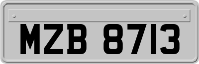 MZB8713