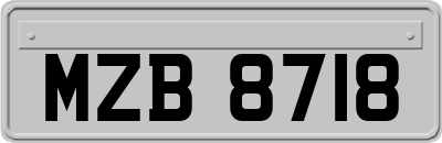 MZB8718