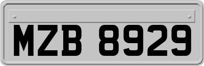 MZB8929