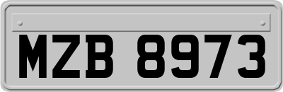 MZB8973
