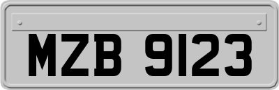 MZB9123