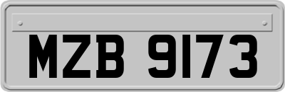 MZB9173