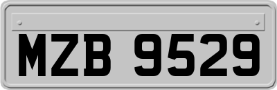 MZB9529