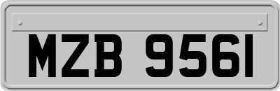 MZB9561