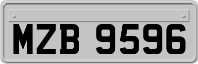 MZB9596