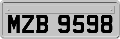 MZB9598