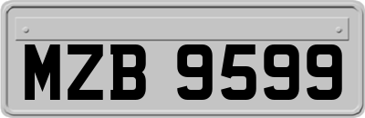 MZB9599