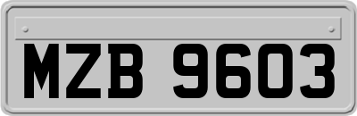 MZB9603