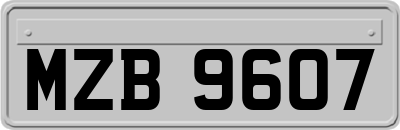 MZB9607
