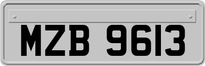 MZB9613