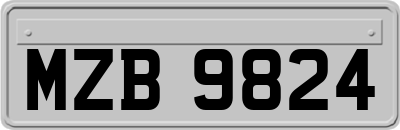MZB9824