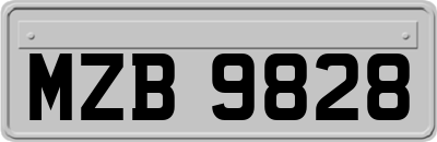 MZB9828