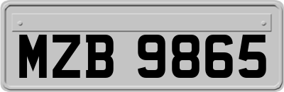 MZB9865