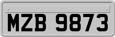 MZB9873