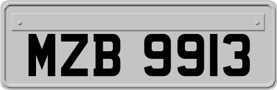 MZB9913