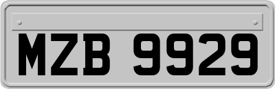 MZB9929