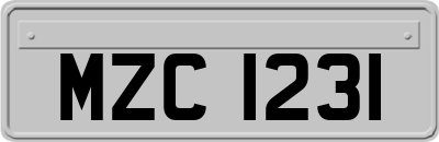 MZC1231
