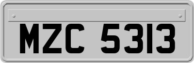 MZC5313