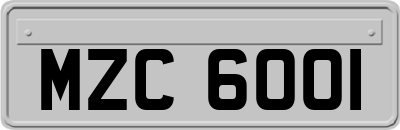 MZC6001