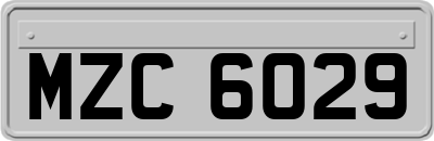 MZC6029