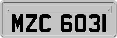 MZC6031