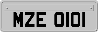 MZE0101