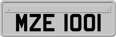 MZE1001