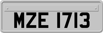 MZE1713