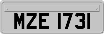 MZE1731