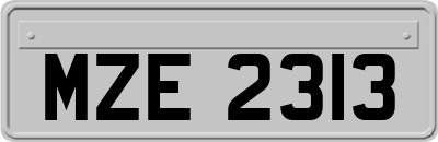 MZE2313
