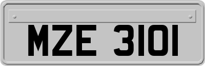 MZE3101