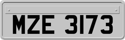 MZE3173